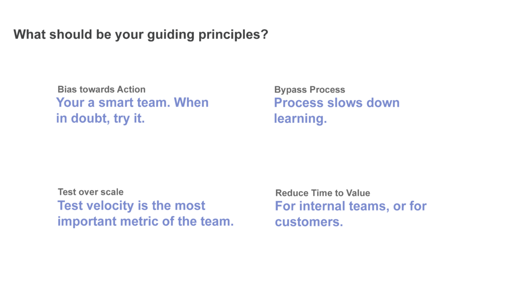 Guiding Principles of Product Growth Team